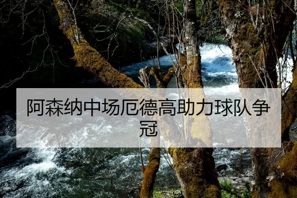 阿森纳中场厄德高助力球队争冠
